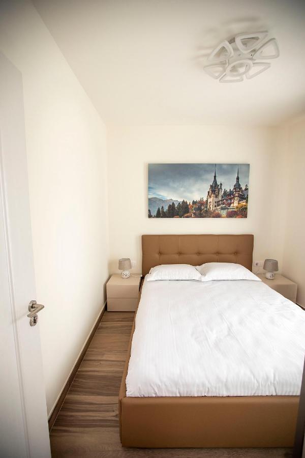 Apartment Covaciu *