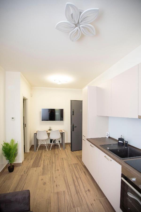 Covaciu Apartment *